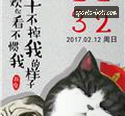 赵哥